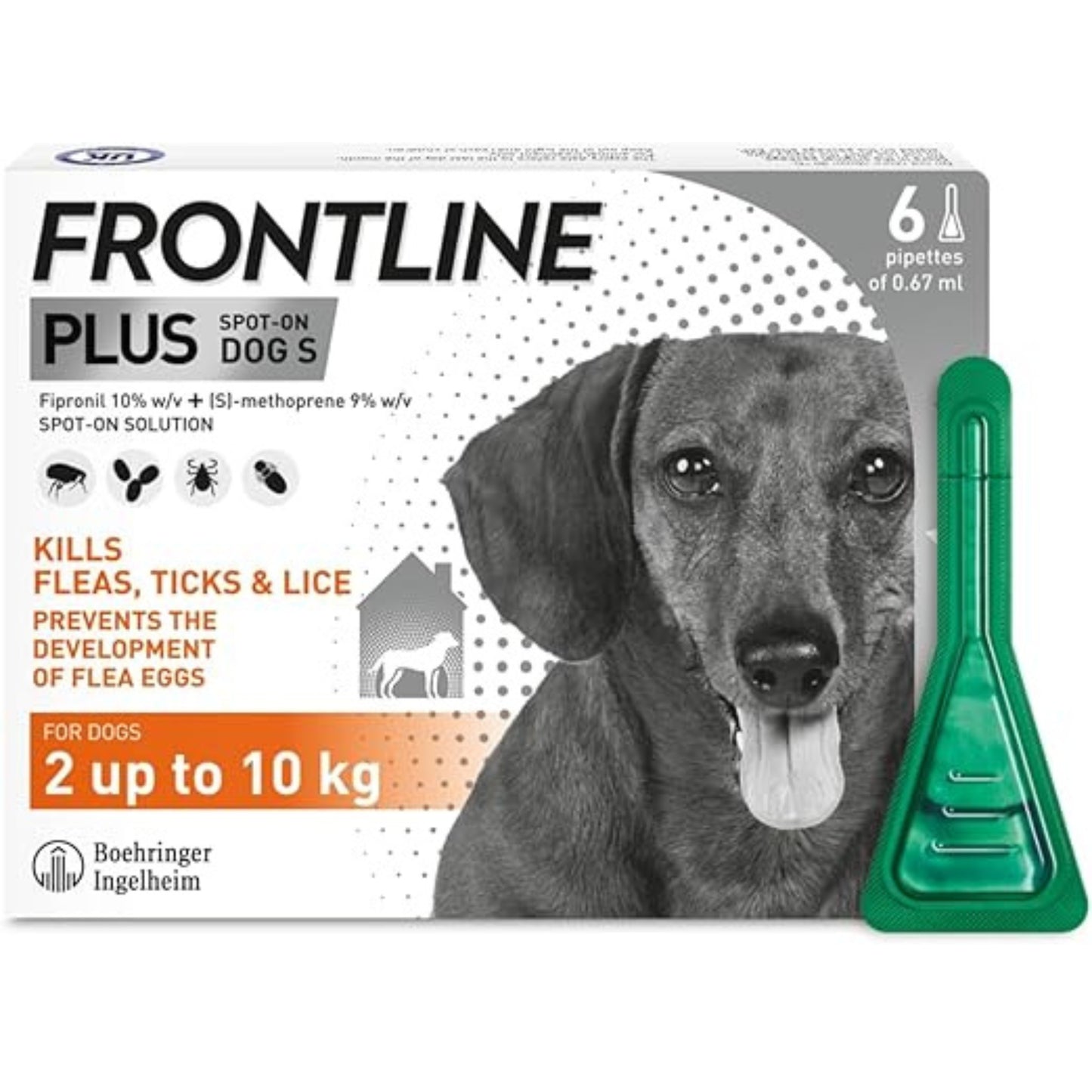 Available in Uk £10 - FRONTLINE Plus Flea & Tick Treatment for Small Dogs - 6 Pipettes
